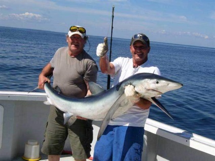 Drifting - prinderea rechinilor albastri și a vulpilor marini - alte căi de pescuit