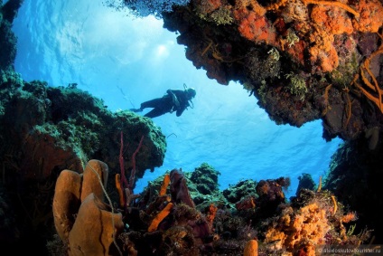 Két héttel a sziget Cozumel (Cozumel) - Mexikó, felülvizsgálja a turista alexloskutov