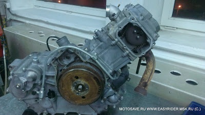 Motor stels gt500