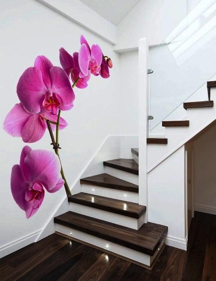 Tapete cu imaginea orhideelor ​​într-o florărie blândă interioară pe pereții dvs.