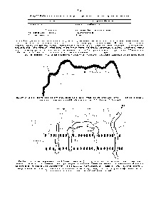 Glycocalix - ghidul chimistului 21