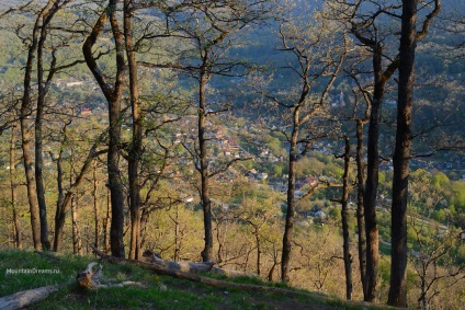 Lumea montană mezamaya