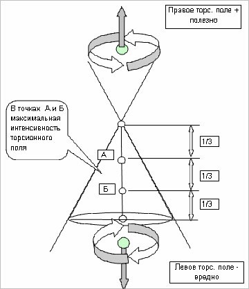 Câmpul informațional și câmpurile de torsiune