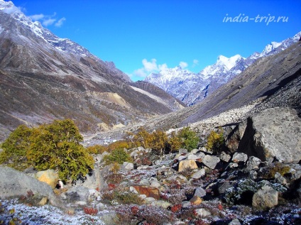 Sursa ganga - gheață pe gheață în Himalaya, India