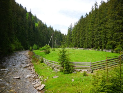 Cum să închiriezi o mașină în Ucraina - sfaturi pentru călătorii