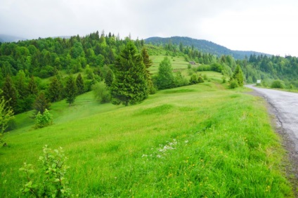 Cum să închiriezi o mașină în Ucraina - sfaturi pentru călătorii