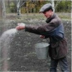 Cum să tratăm salinizarea solului
