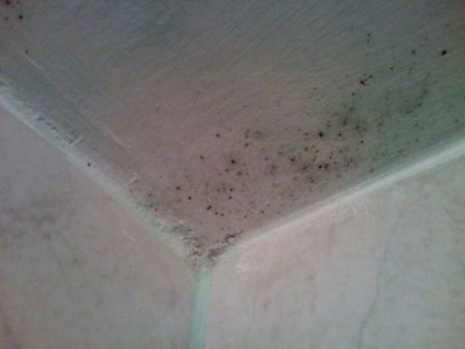 Да се ​​отървем от мухъл по тавана на банята в снимката на апартамент