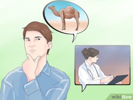 Hogyan vásároljon egy teve