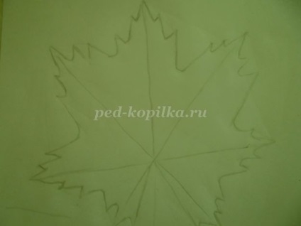 Cum de a desena o frunză de arțar în etape cu o fotografie