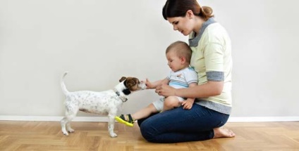 Cum să înveți un copil să nu-ți fie frică de câini