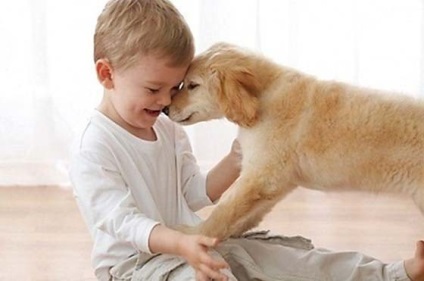 Hogyan kell tanítani a gyermeket, hogy ne féljen a kutyák