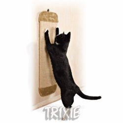 Cum să obișnuiți o pisică să ascuțească ghearele în locul atribuit kotoff - portalul unei pisici