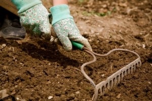 Cum să epuizeze solul în grădină
