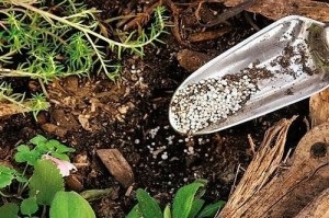 Cum să epuizeze solul în grădină