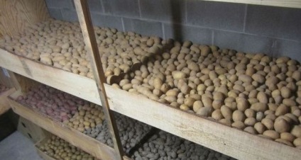 Cum se depozitează cartofii din carie