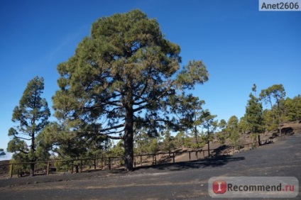 Kanári-szigetek, Tenerife, Teide vulkán kirándulás - „Teide vulkán