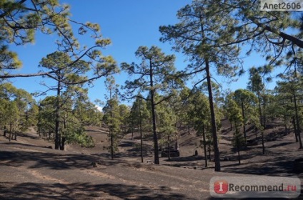 Kanári-szigetek, Tenerife, Teide vulkán kirándulás - „Teide vulkán