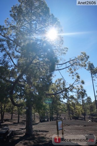 Insulele Canare, Tenerife, excursie la vulcanul Teide - 