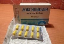 Kanefron cu recenzii de prostatită ale medicilor, aplicații, recomandări