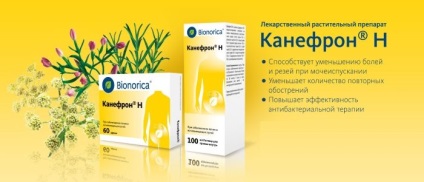 Kanefron cu recenzii de prostatită ale medicilor, aplicații, recomandări