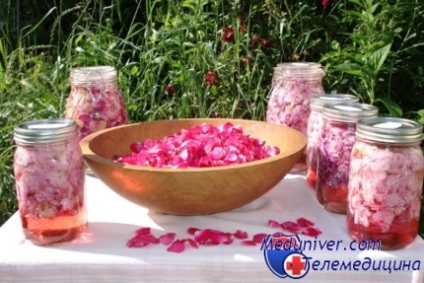 Frumos și util - ce flori sunt folosite în medicină