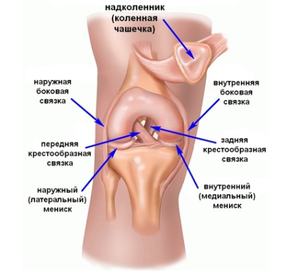 Tratamentul rupturilor și leziunilor ligamentelor articulației genunchiului cu ajutorul operațiilor artroscopice