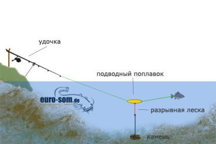 Capturile de somn pe firma plutitoare subacvatice au intrebat