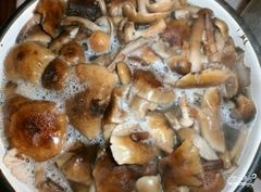Marile ciuperci în ulei - rețetă pas cu pas cu fotografie