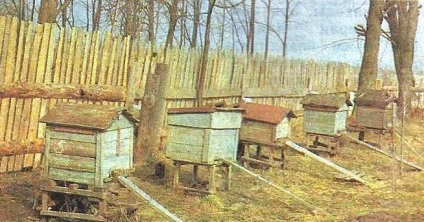 Martie în stupină - grădini din Siberia