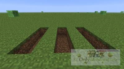 Minecraft cum să facă un câmp, totul este simplu