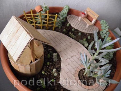 Mini-grădină în oală cu mâinile tale (fotografie), o cutie de idei și clase de maestru