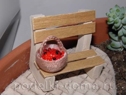 Mini-grădină în oală cu mâinile tale (fotografie), o cutie de idei și clase de maestru