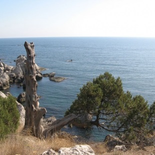 Cape Sarych, trekking în Crimeea