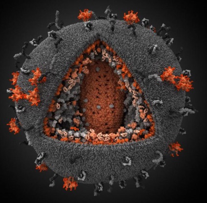 Molecule sub microscop