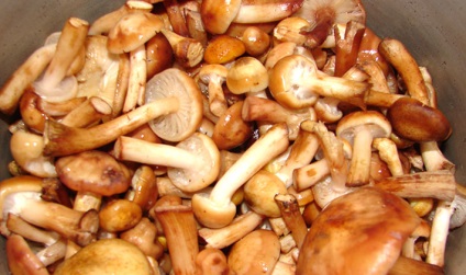 Ciupercile de ciuperci marinate pentru iarnă în legume și creme de uleiuri rețete preparate la domiciliu