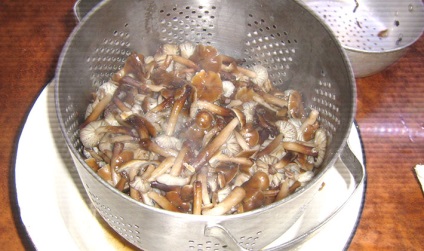 Ciupercile de ciuperci marinate pentru iarnă în legume și creme de uleiuri rețete preparate la domiciliu