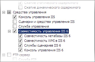 Caracteristici de instalare și configurare iis 7 pe Windows Server 2008