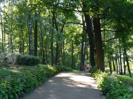 Fântâni Peterhof, parcuri și alte atracții, totul despre călătorie