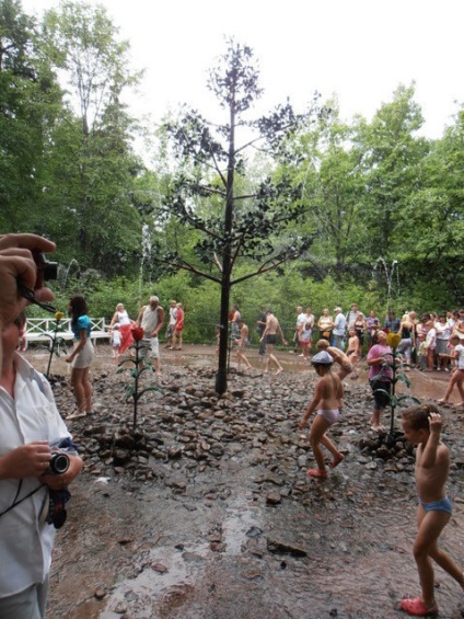 Fântâni Peterhof, parcuri și alte atracții, totul despre călătorie