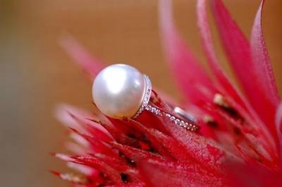 Un cadou pentru o nunta de perle - cateva idei originale