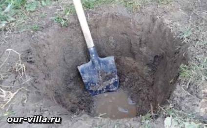 Pregătirea locurilor de plantare pentru plante