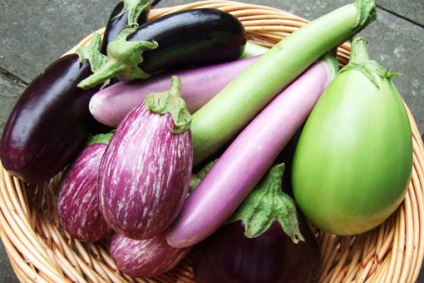 Proprietăți utile de vinete roșu-violet - o legumă de longevitate