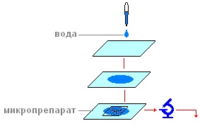 Lucrări practice 