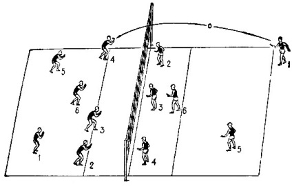 A röplabda játékának szabályai az iskolások számára - a röplabda