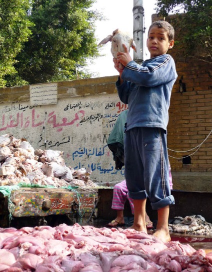 Sărbătoarea Eid al-Adha în Egipt - fotografie, sărbătoare în Egipt