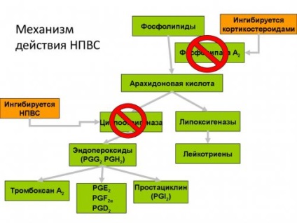 Препарати за лечение на краста по хората мазила, спрейове, кремове и други лекарства