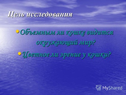 Előadás arról, hogyan látja a macskát Mykhalchuk Danila oktatási osztály