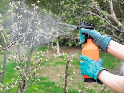Aplicarea ureei de îngrășământ în seră și în grădină (instrucțiuni video) - eHotree