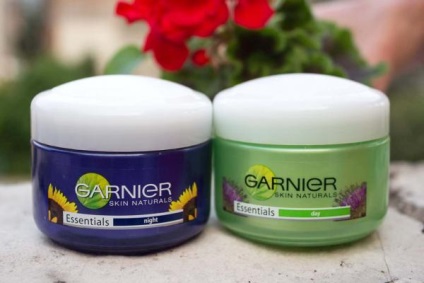 Creme plăcute garnier - comentarii despre cosmetice